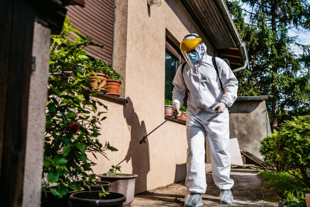 Best Rat Extermination Near Me  in Leechburg, PA