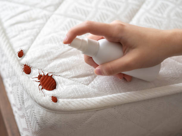 Best Pest Control Near Me  in Leechburg, PA
