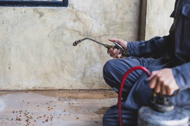 Best Best Pest Control Companies  in Leechburg, PA